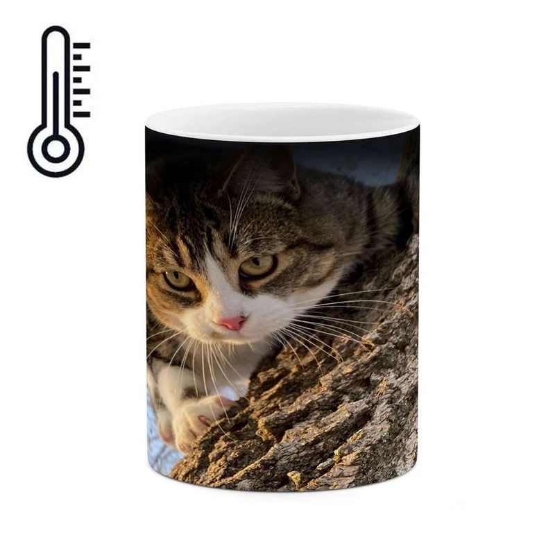 ماگ حرارتی کاکتی مدل گربه کد mgh14162