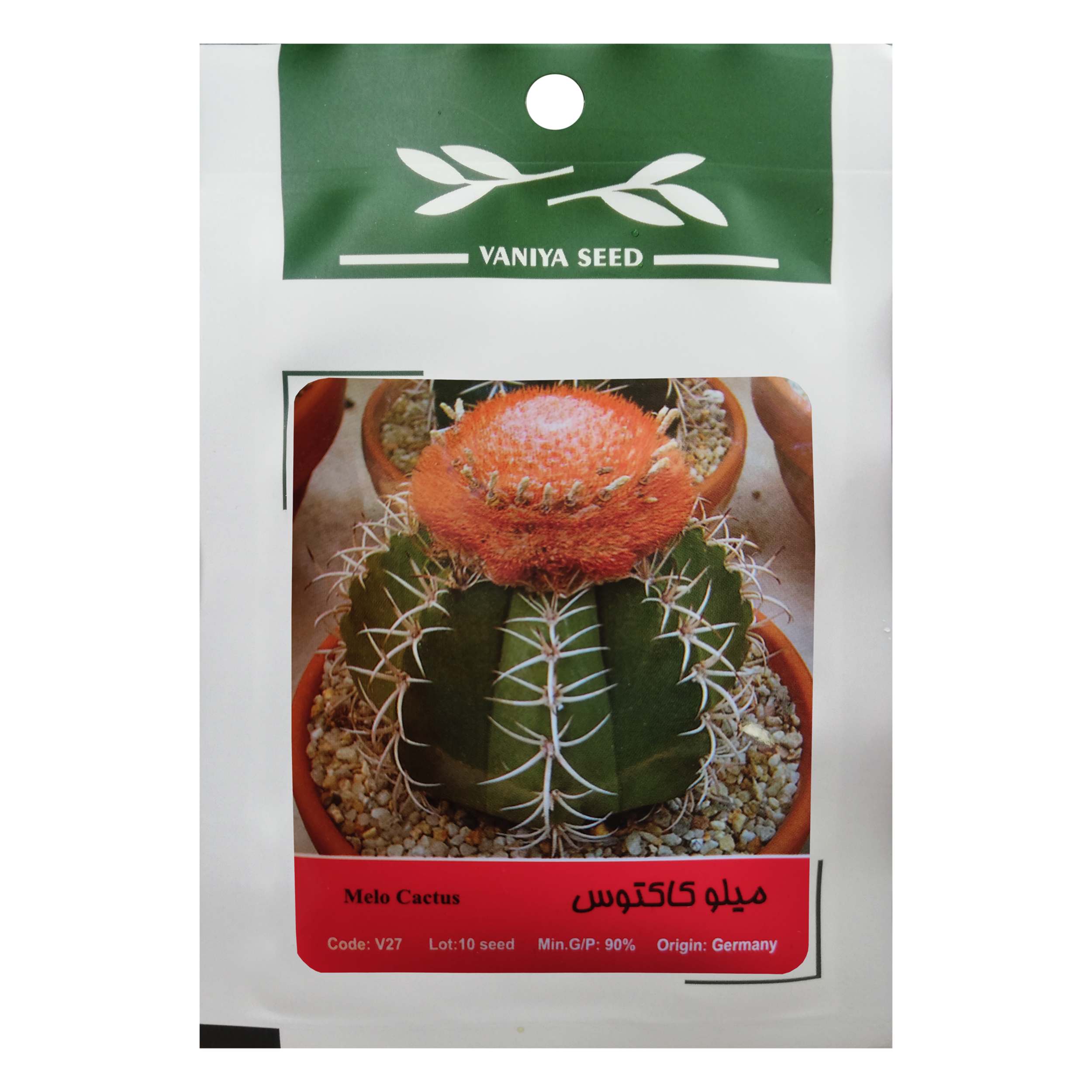 بذر میلو کاکتوس وانیا سید مدل V27