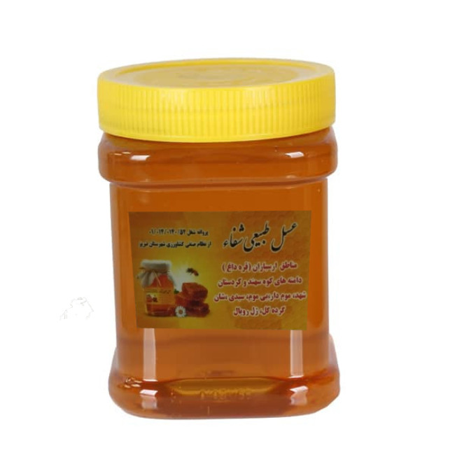 عسل طبیعی گون - 1000 گرم