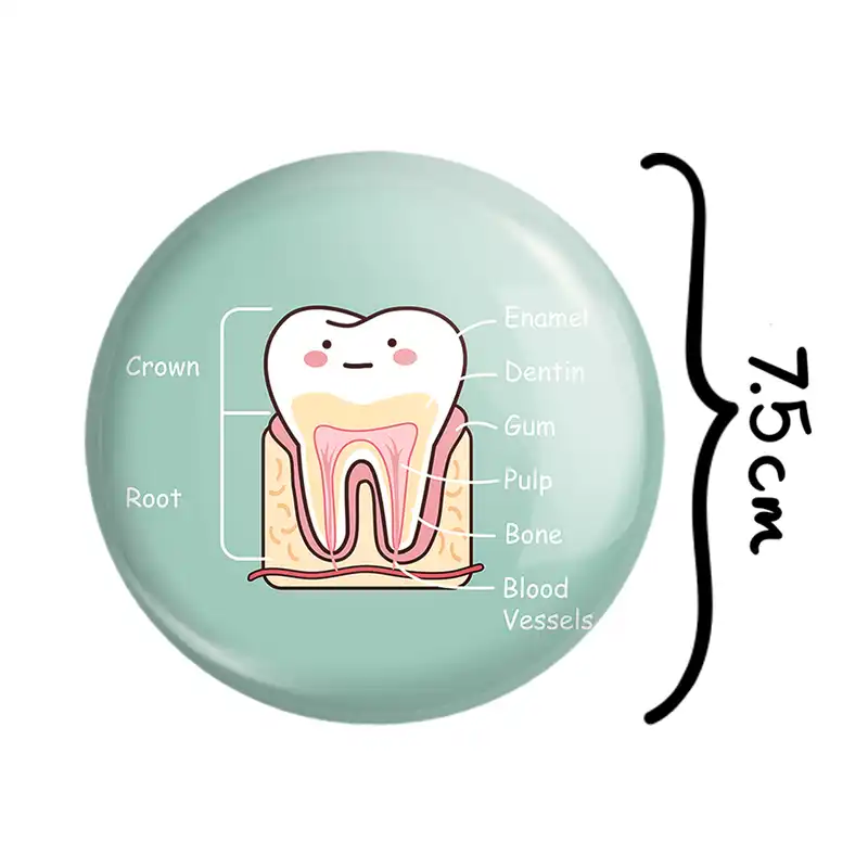 آینه جیبی خندالو مدل دندان و دندانپزشکی کودکانه کد 27754