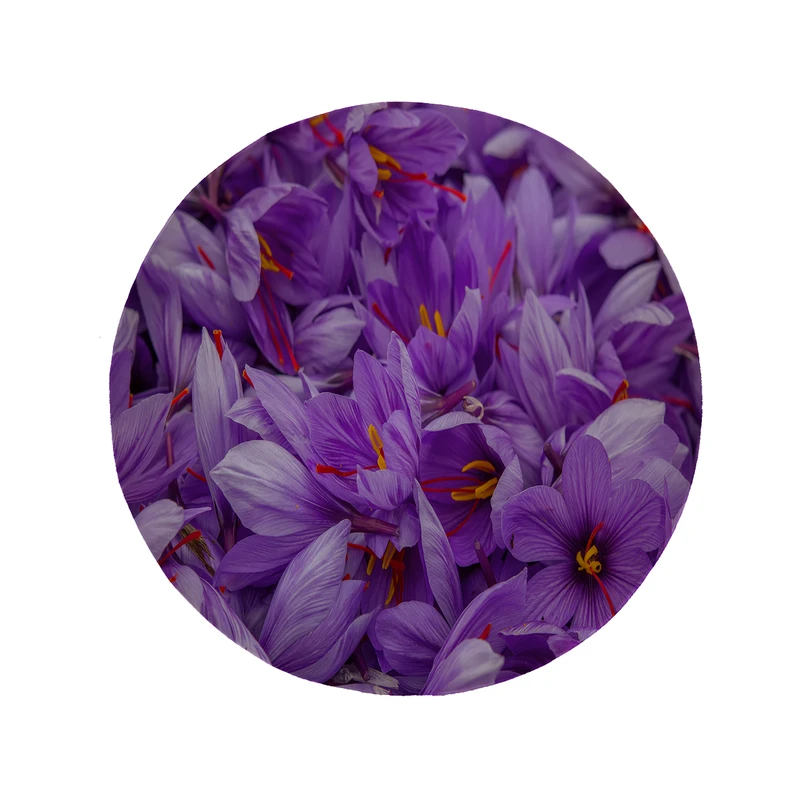 پادری مدل دایره طرح زعفران کد 5487 سایز 90 × 90 سانتی متر 