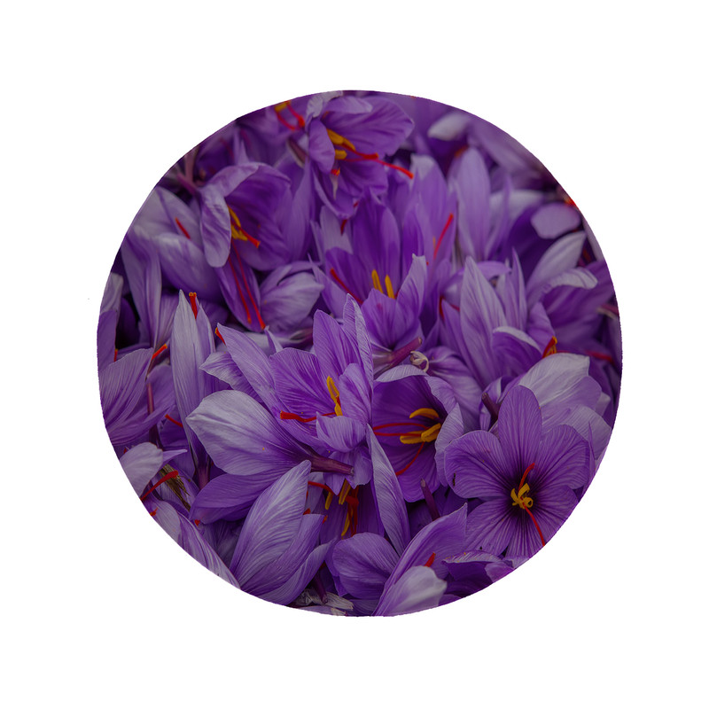 پادری مدل دایره طرح زعفران کد 5487 سایز 90 × 90 سانتی متر