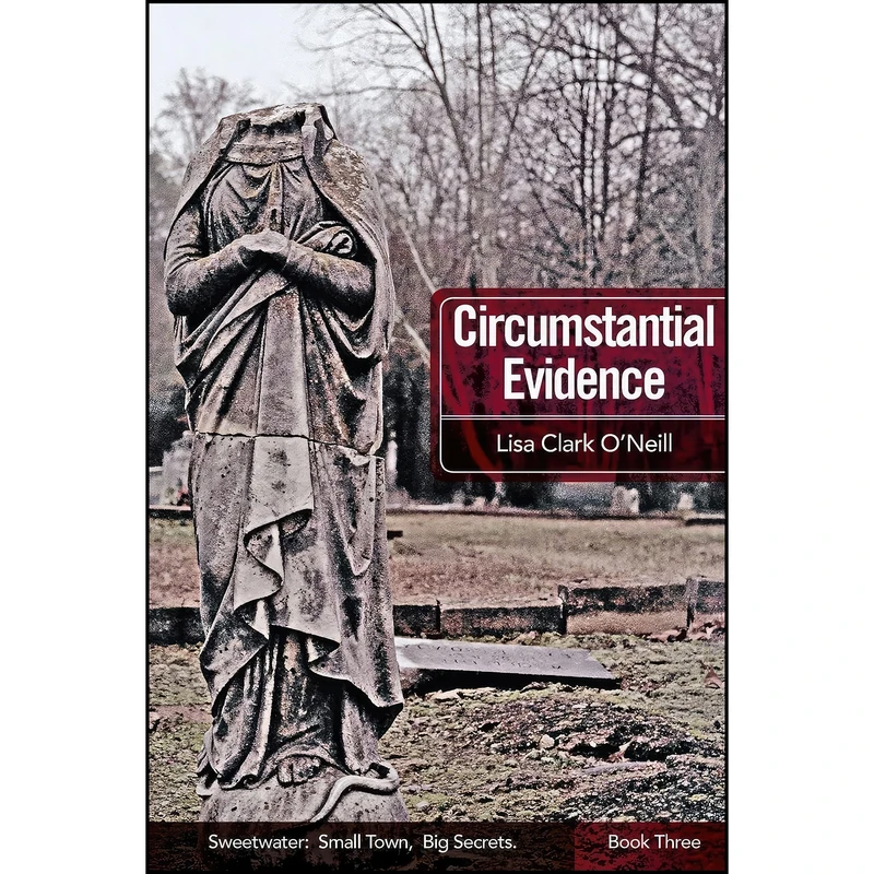 کتاب Circumstantial Evidence  اثر Lisa Clark O Neill انتشارات تازه ها