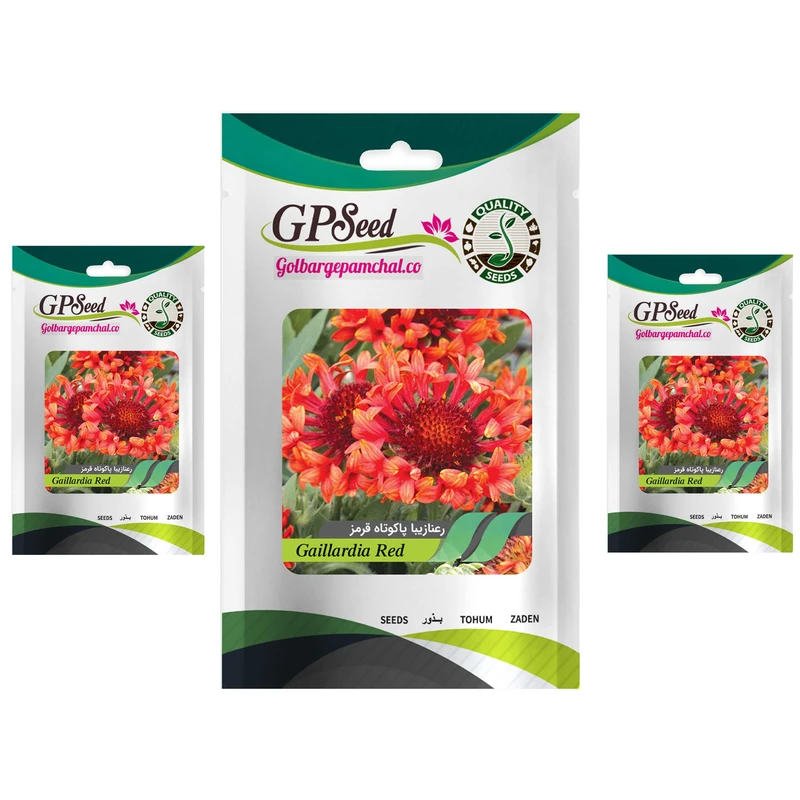 بذر گل رعنا زیبا پاکوتاه قرمز گلبرگ پامچال کد GPF-248 مجموعه 3 عددی