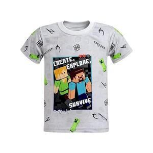 تی شرت آستین کوتاه پسرانه مدل ماینکرافت pj1176