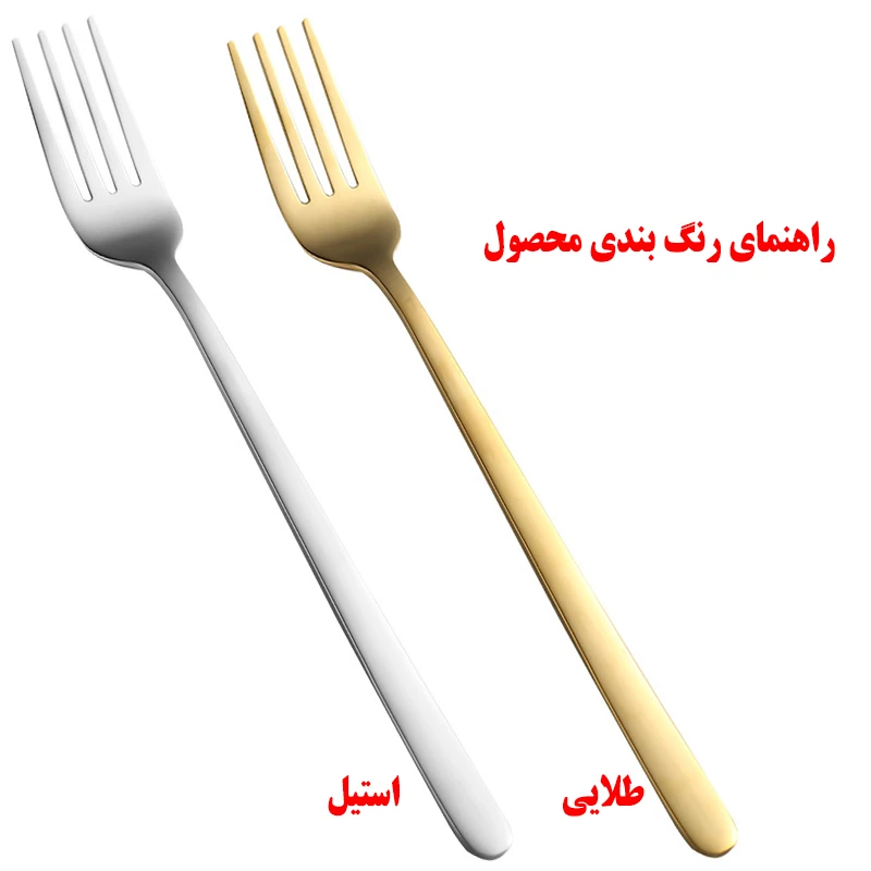 عکس شماره 4