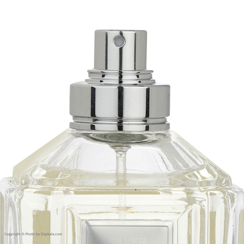 ادو پرفیوم مردانه زیفویید مدل SILVER حجم 100 میلی لیتر ادو پرفیوم مردانه زیفویید مدل SILVER حجم 100 میلی لیتر