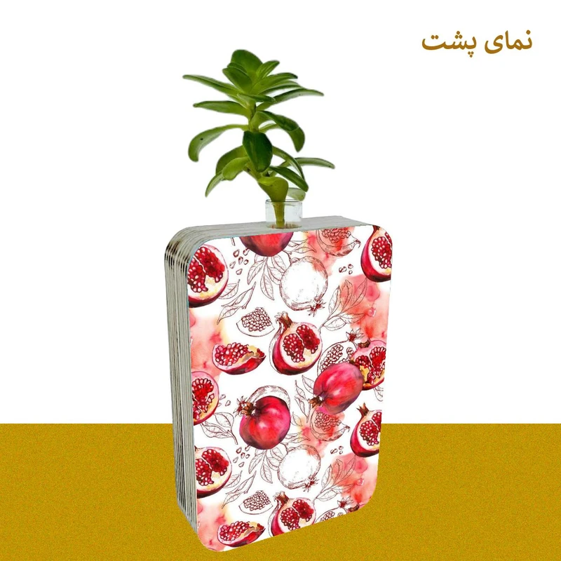 عکس شماره 3