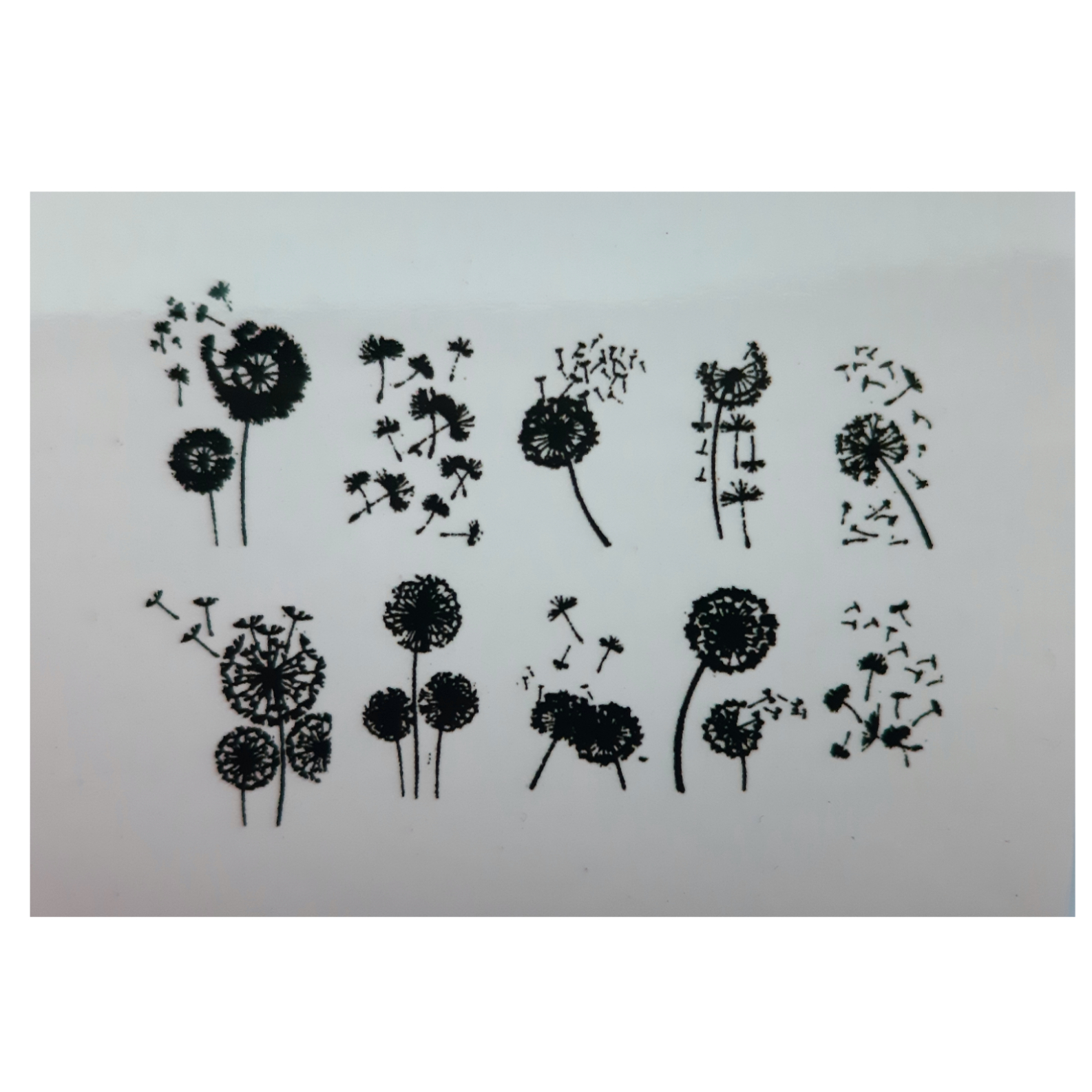 استیکر طراحی ناخن مدل A194