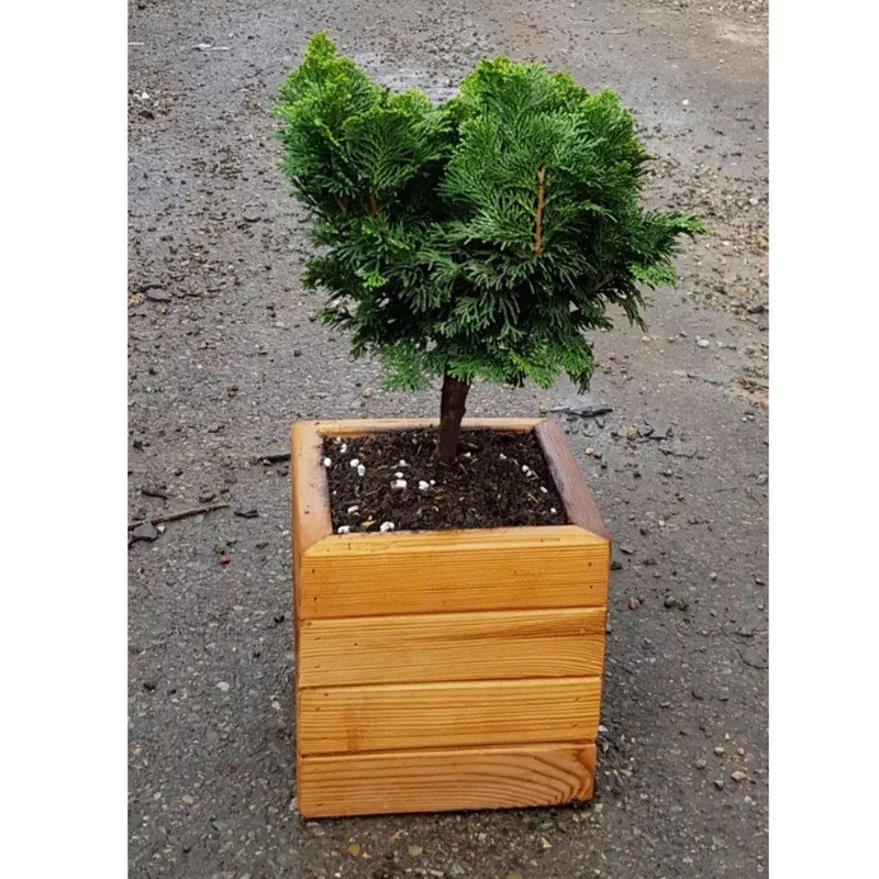 گلدان مدل چوبی کد 1717r4