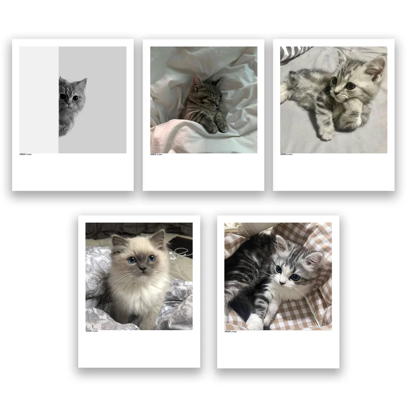 آویز تزیینی عرش مدل فانتزی گربه بامزه کد Asa345 مجموعه پنچ عددی