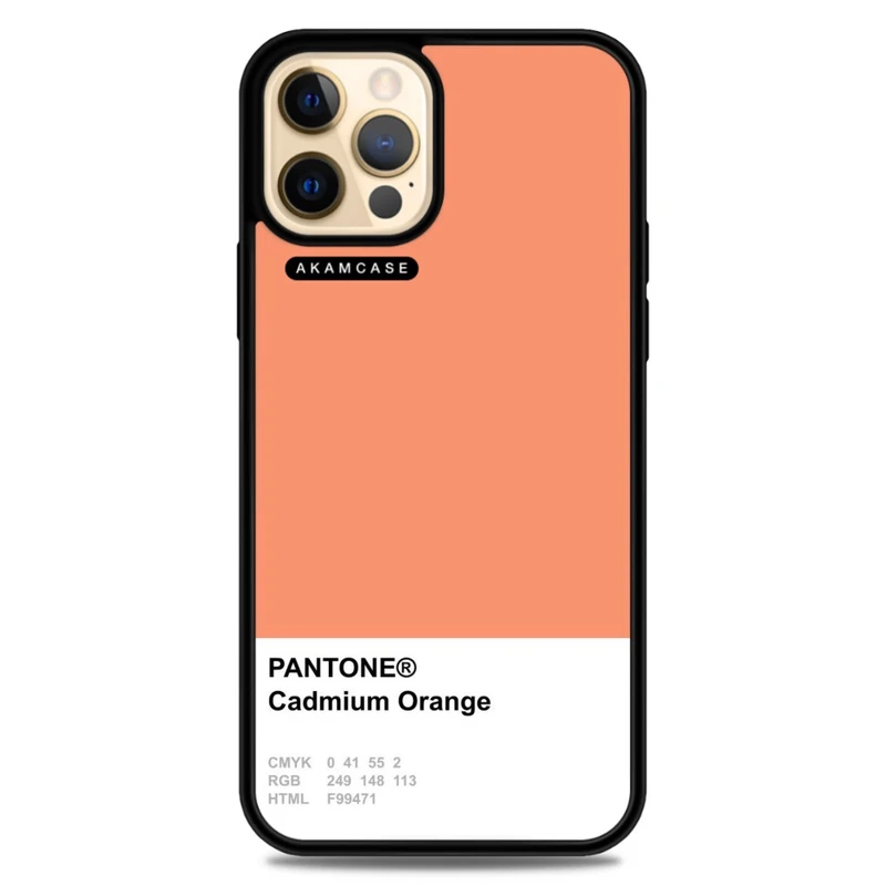 کاور آکام مدل AMC-WA12PRO-PANTONE-1 مناسب برای گوشی موبایل اپل iPhone 12 Pro