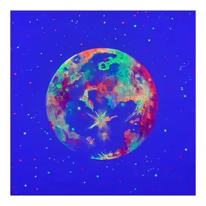 تابلو نقاشی اکریلیک مدل بلک لایت طرح ماه کد 13