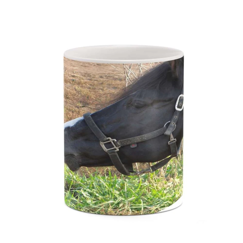 ماگ کاکتی مدل اسب کد mgh19245