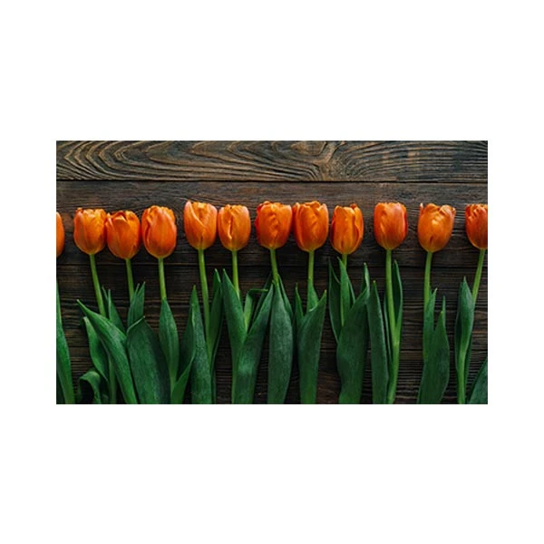   پادری مدل گل و طبیعت کد M35M001-MF0071 سایز 76x46 سانتی متر