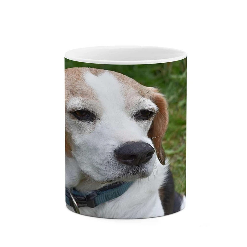 ماگ کاکتی مدل سگ کد mgh14695