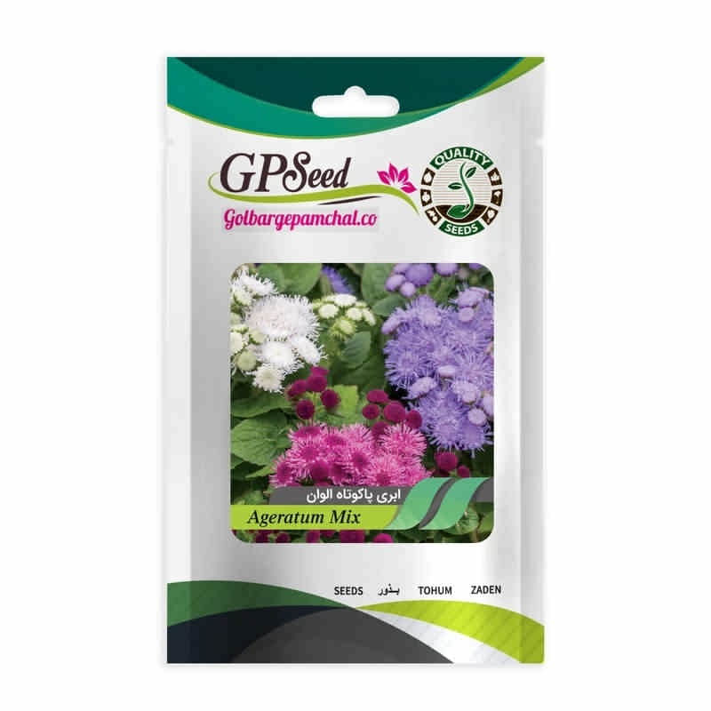 بذر گل ابری پا کوتاه الوان جی پی سید مدل GP27826