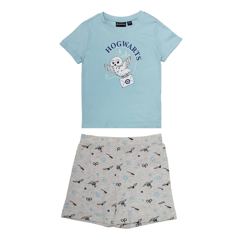 ست تی شرت آستین کوتاه و شلوارک راحتی پسرانه هری پاتر مدل 6330