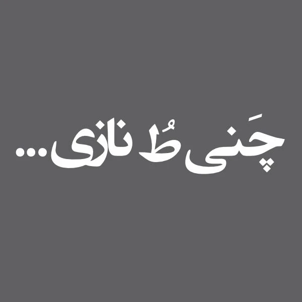 برچسب بدنه خودرو طرح چنی تو نازی کد FS09