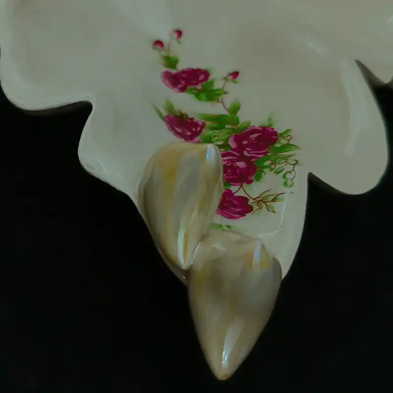 شیرینی خوری سرامیکی هیوا طرح برگ گل سرخی کد 11588838