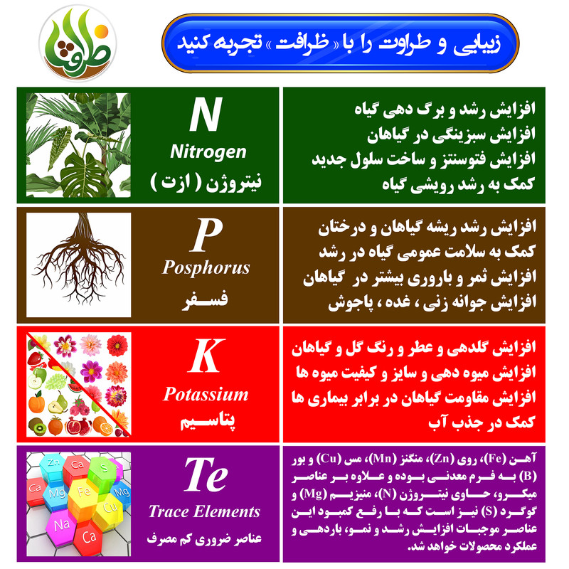 کود سه بیست NPK 20-20-20 + TE ظرافت مدل KO2735 وزن 100 گرم