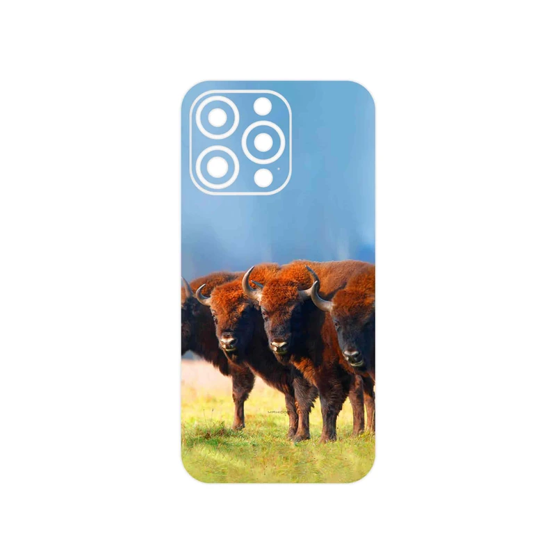 برچسب پوششی ماهوت مدل Buffalo مناسب برای گوشی موبایل اپل iPhone 13 Pro Max