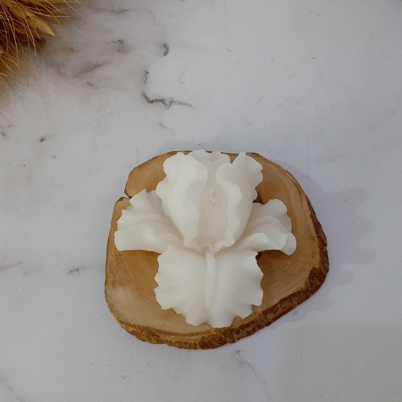 شمع مدل زنبق مجموعه 2 عددی