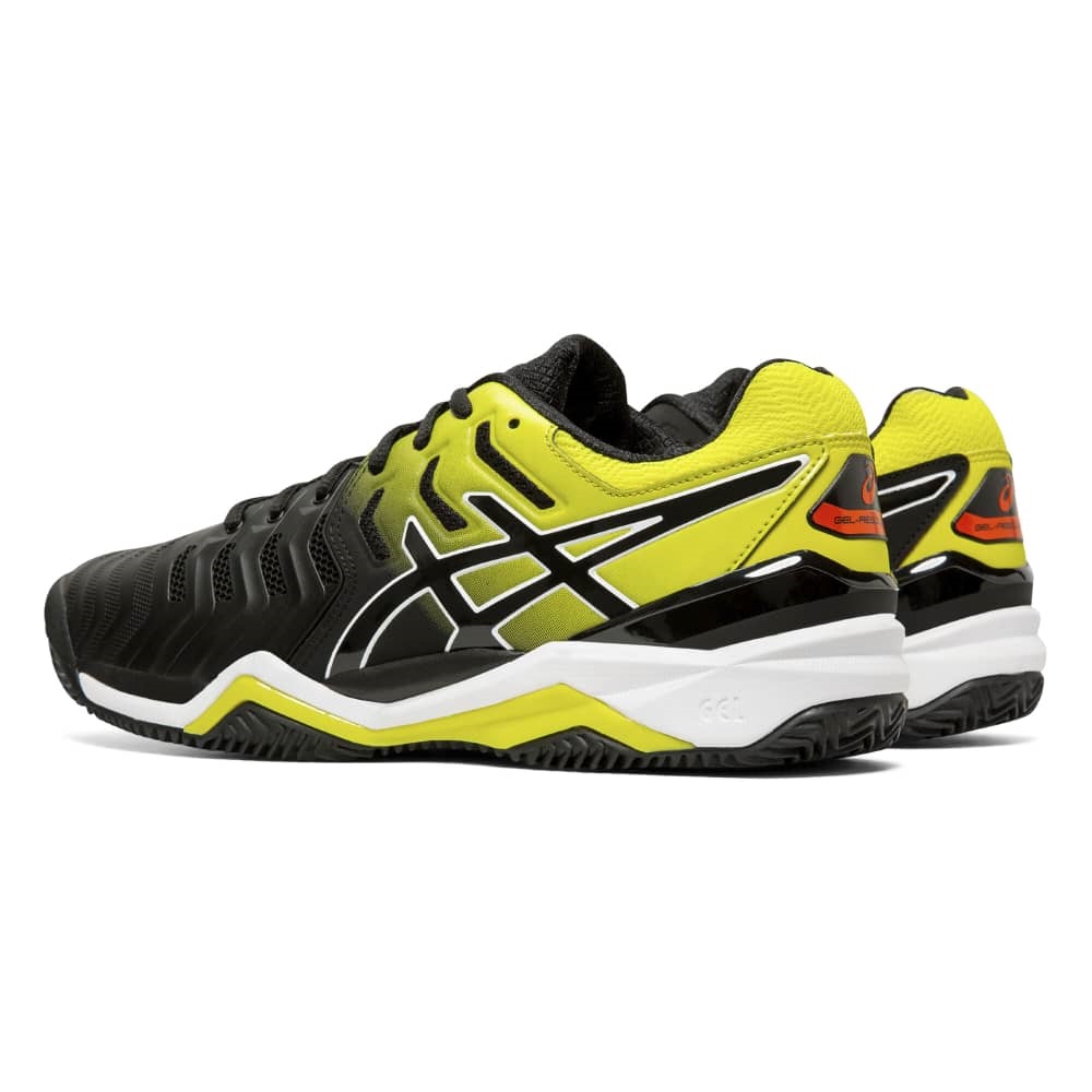 asic gel resolution 7 clay