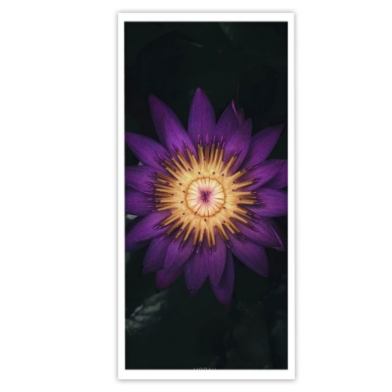 تابلو بکلیت طرح عکاسی طبیعت گل بهاری مدل W-S3426