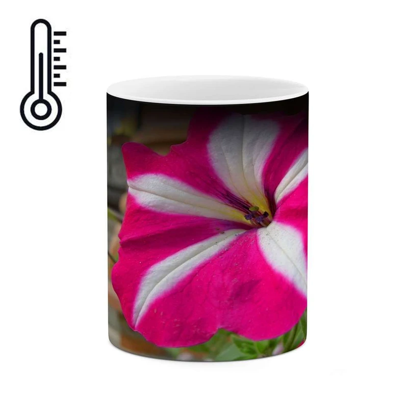 ماگ حرارتی کاکتی مدل گل کد mgh10815