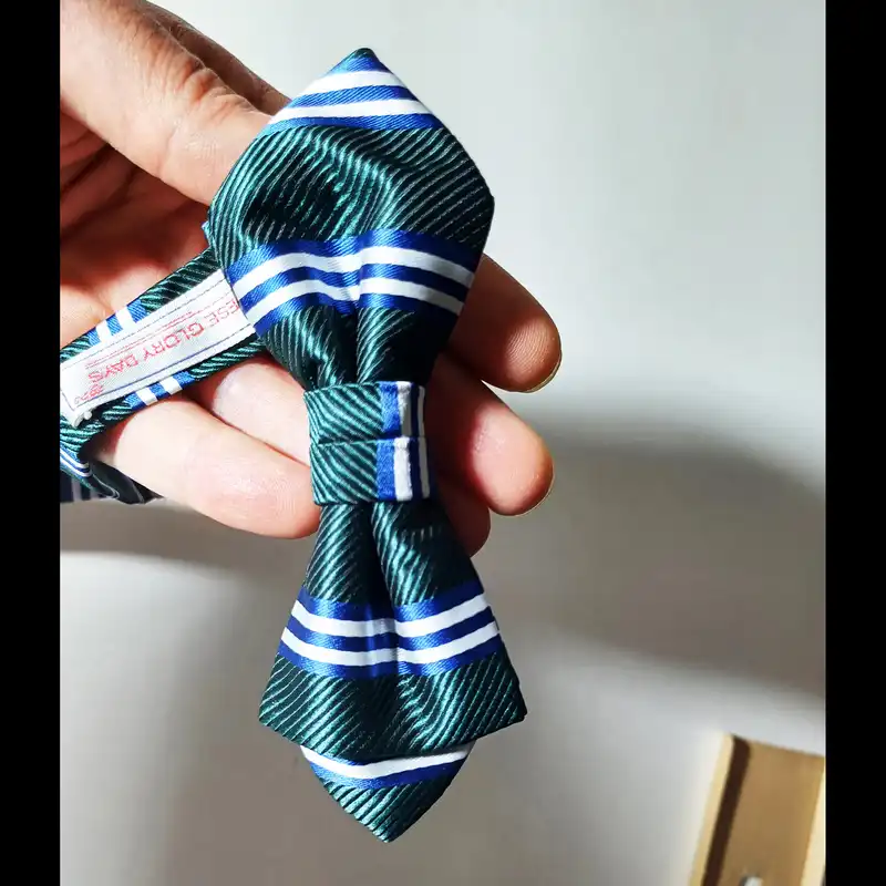 ست پاپیون و دستمال جیب مردانه دیس گلوری دیز مدل 2024