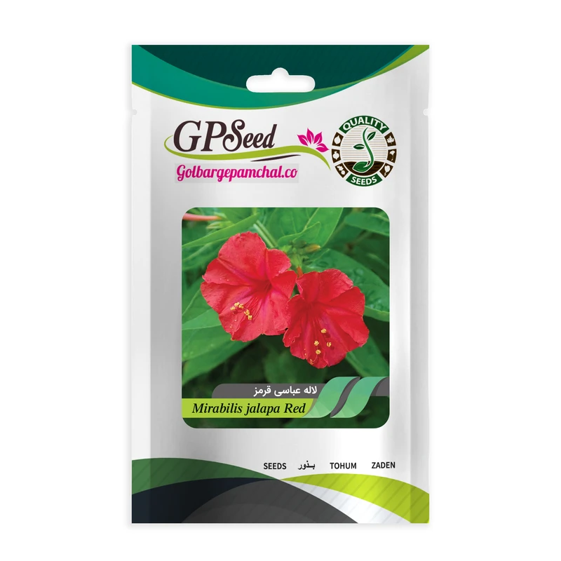بذر گل لاله عباسی قرمز گلبرگ پامچال کد GPF-268