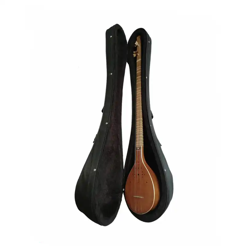 هارد کیس سه تار مدل 89