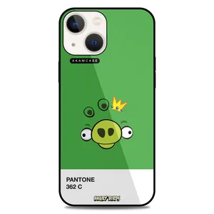 AKAM AMC-WA13-ANGRY BIRDS13 Cover For Apple iPhone 13