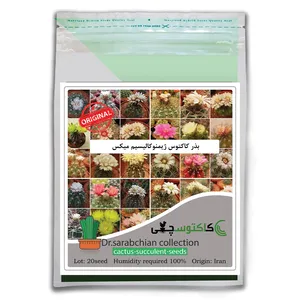 بذر کاکتوس ژیمنوکالیسیم میکس کاکتوسچی مدل AM-062