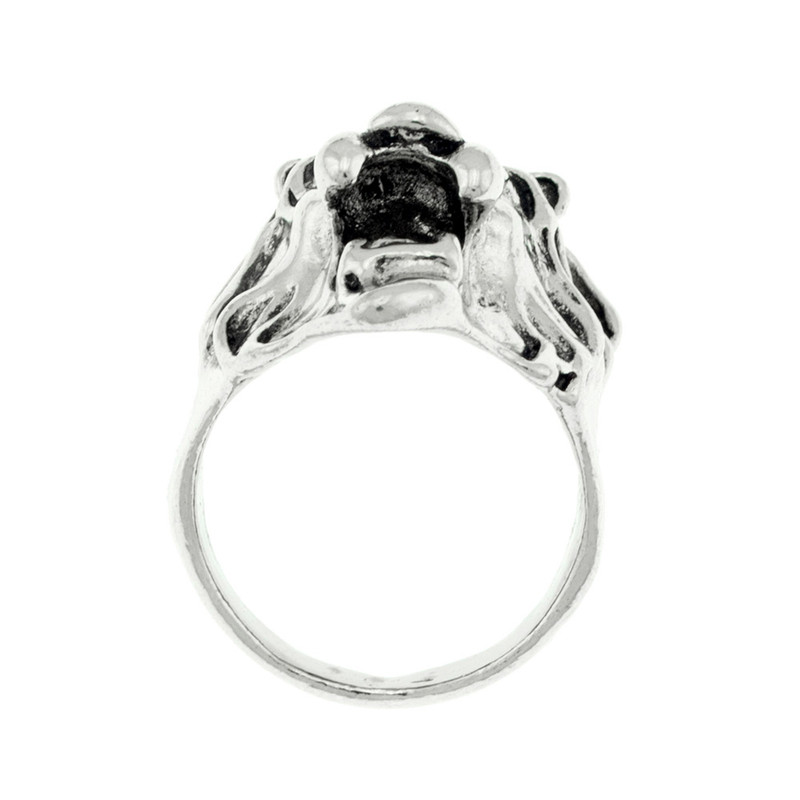 انگشتر مردانه برانت طرح شیر خشمگین انگشتر مردانه برانت طرح شیر خشمگین