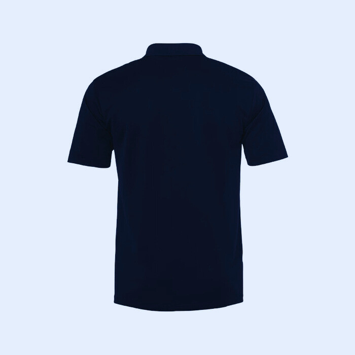 پلوشرت ورزشی مردانه آلشپرت مدل PL-2138 رنگ آبی