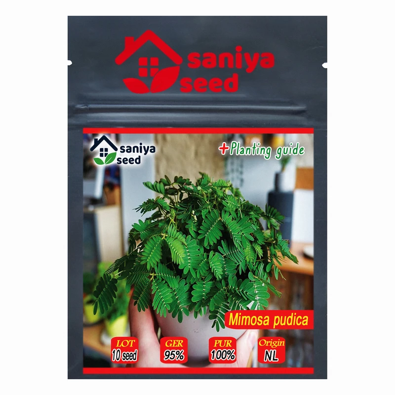 بذر گل قهر و آشتی سانیا سید مدل S25