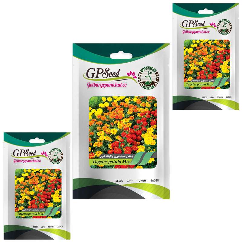 بذر گل جعفری مینیاتوری پاکوتاه الوان گلبرگ پامچال کد GPF-040 مجموعه 3 عددی بذر گل جعفری مینیاتوری پاکوتاه الوان گلبرگ پامچال کد GPF-040 مجموعه 3 عددی