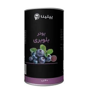 پودر بلوبری پپتینا - 40 گرم