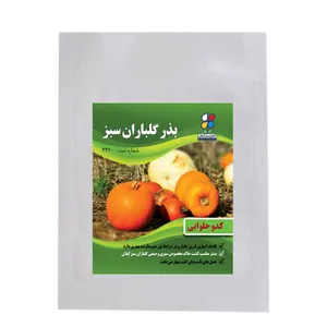 بذر کدو حلوایی شرکت  گلباران سبز گیلان مدل BKH بسته 24 عددی