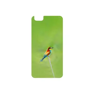 MAHOOT European bee-eater Cover Sticker for Honor 4X