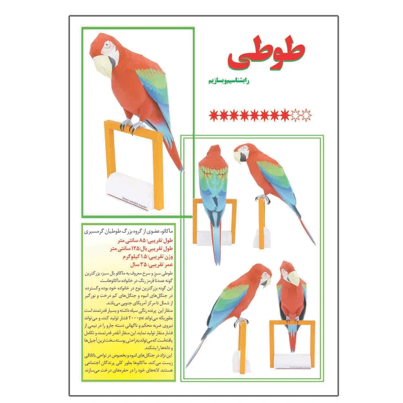 کتاب طوطی را بشناسیم و بسازیم اثر م محمددوست انتشارات کاردستی