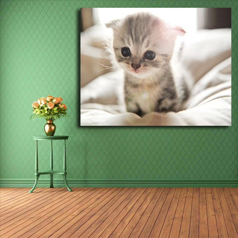 تابلو شاسی مدل گربه کد 17