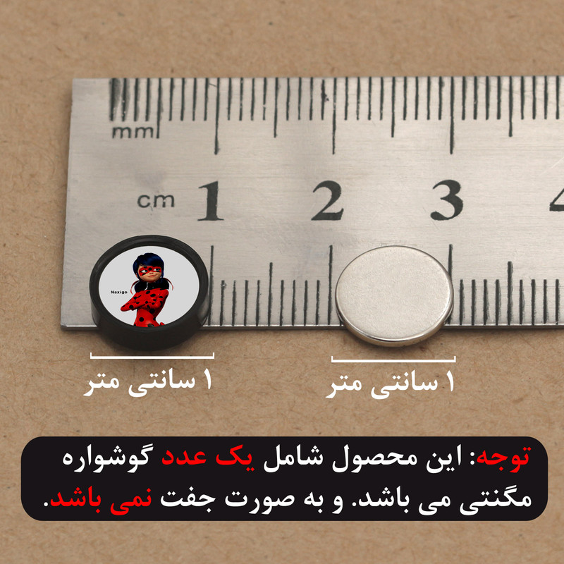 پیرسینگ گوش ناکسیگو مدل شب تاب طرح لیدی باگ کد PM6511