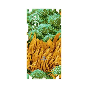 MAHOOT Atom Universe 6-FullSkin Cover Sticker for Motorola Moto G04s
