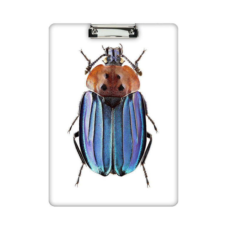 تخته شاسی طرح سوسک کد 815 سایز A4