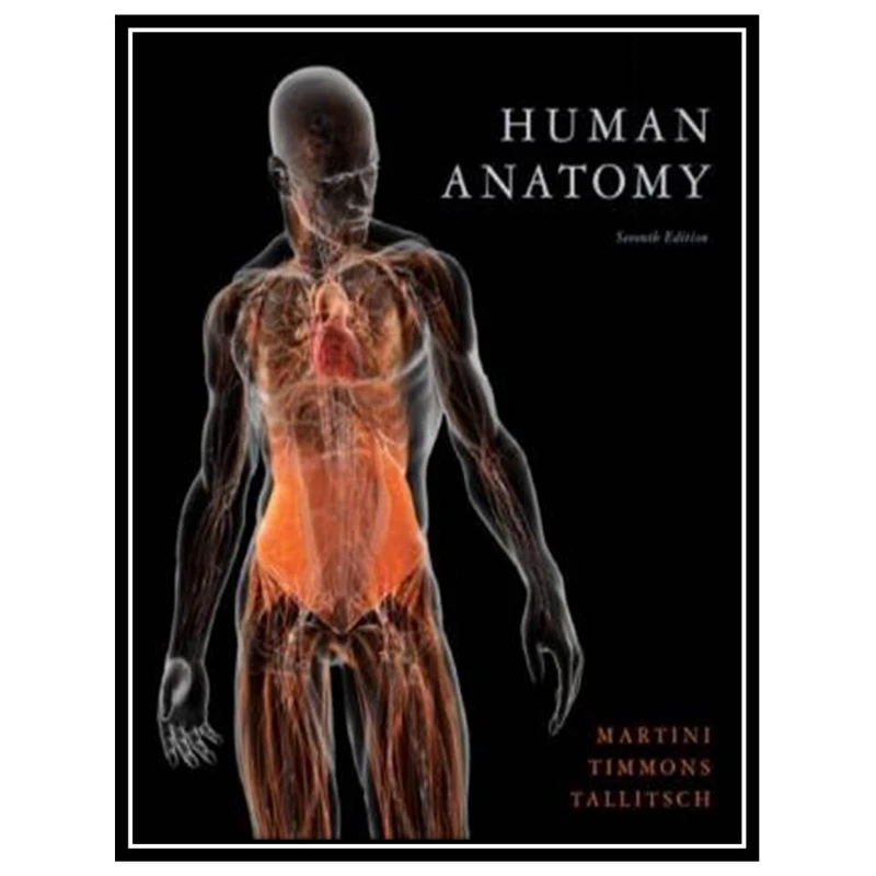 کتاب Human Anatomy اثر جمعی از نویسندگان انتشارات مؤلفین طلایی
