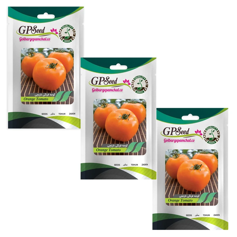 بذر گوجه فرنگی نارنجی گلبرگ پامچال کد GPF-287 مجموعه 3 عددی