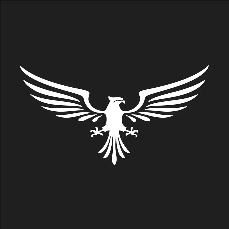 برچسب بدنه خودرو نوین گراف مدل فانتزی طرح شاهین کد NOVIN-G4034